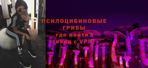 стафф Арсеньев
